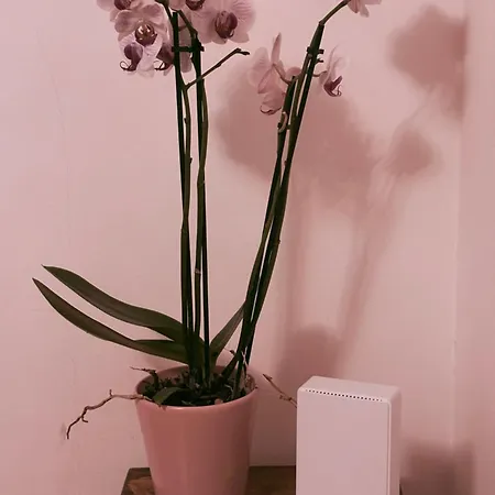 Apartman Carducci Center