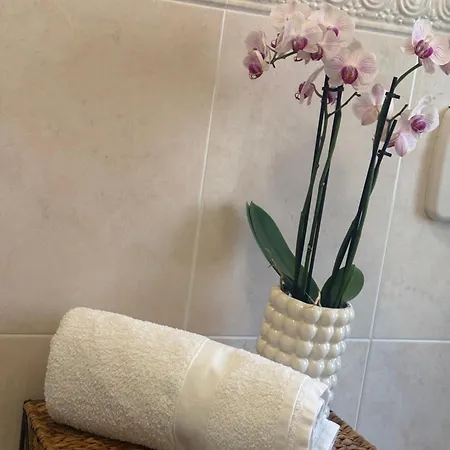 Carducci Center Apartman San Benedetto del Tronto