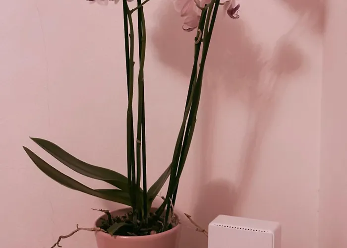 Appartamento Carducci Center